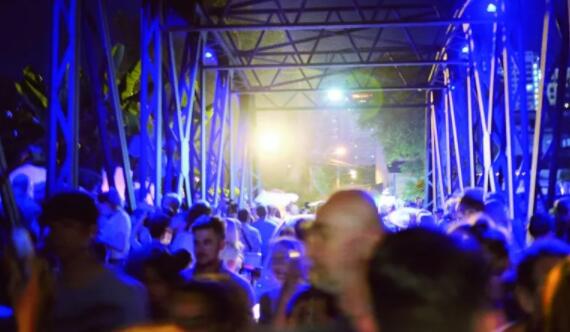 霓虹清迈，识菊闻香-51虹马