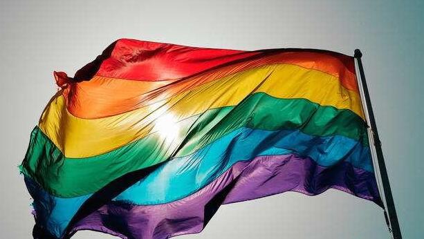 国际同志新闻：两名法国未成年人辱骂女同性情侣 被罚500欧元等-51虹马