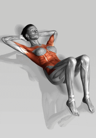 史上最全肌肉训练动图，告诉你每个部位怎么练！ - 51虹马