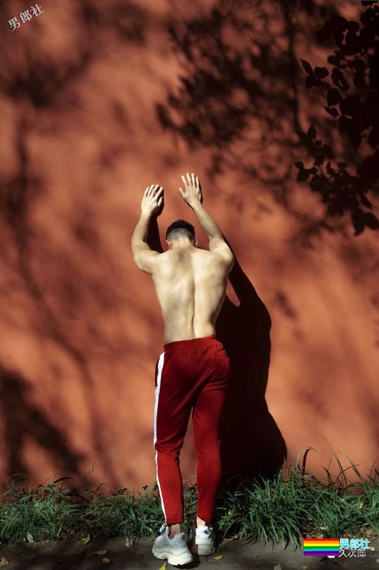 D盘珍藏，一群小狼狗.JPG！ - 51虹马