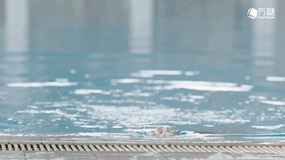 长腿腹气帅气运动男!演过体育生,腱子肉身材A爆了! - 51虹马 长腿腹气帅气运动男!演过体育生,腱子肉身材A爆了! - 51虹马