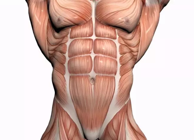 史上最全肌肉训练动图，告诉你每个部位怎么练！-51虹马