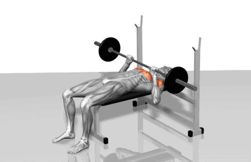 史上最全肌肉训练动图，告诉你每个部位怎么练！ - 51虹马