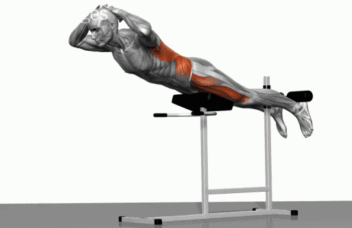 史上最全肌肉训练动图，告诉你每个部位怎么练！ - 51虹马