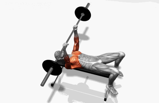 史上最全肌肉训练动图，告诉你每个部位怎么练！ - 51虹马