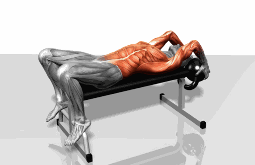 史上最全肌肉训练动图，告诉你每个部位怎么练！ - 51虹马