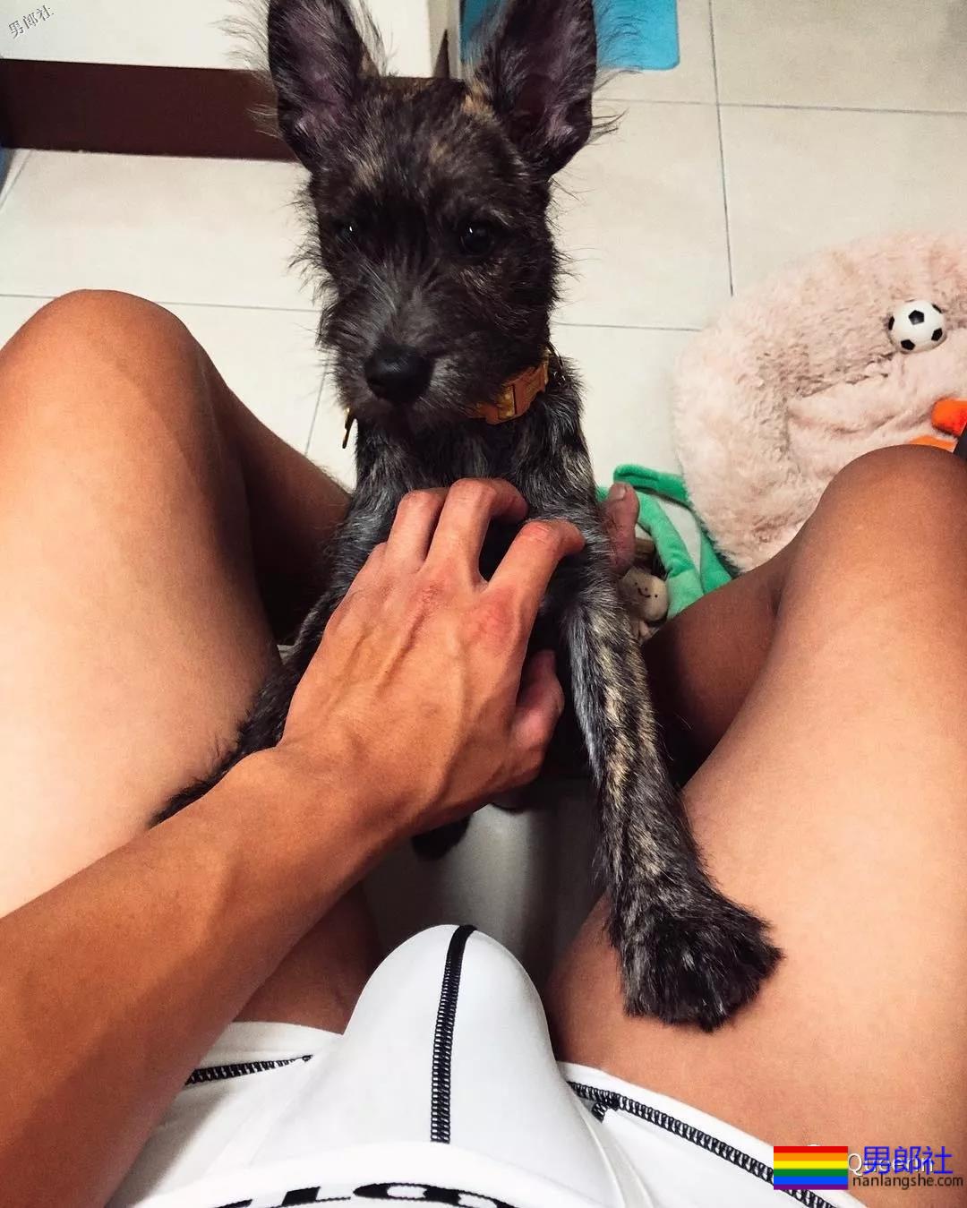 龙舟队狼狗火了！私下里竟然有这么多好料！ - 51虹马