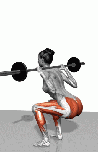 史上最全肌肉训练动图，告诉你每个部位怎么练！ - 51虹马