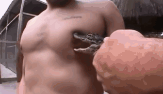 作为一个攻,必须知道制伏小受的“诀窍”~ - 51虹马 作为一个攻,必须知道制伏小受的“诀窍”~ - 51虹马