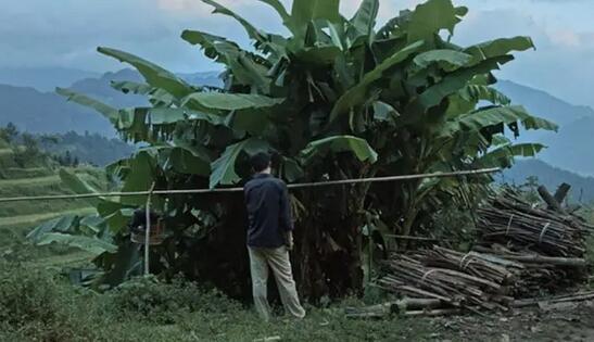 HIV少年基友不回头-51虹马