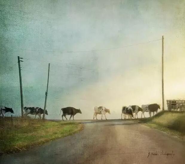 我只是爱上了同性，不是变态，只是爱-51虹马