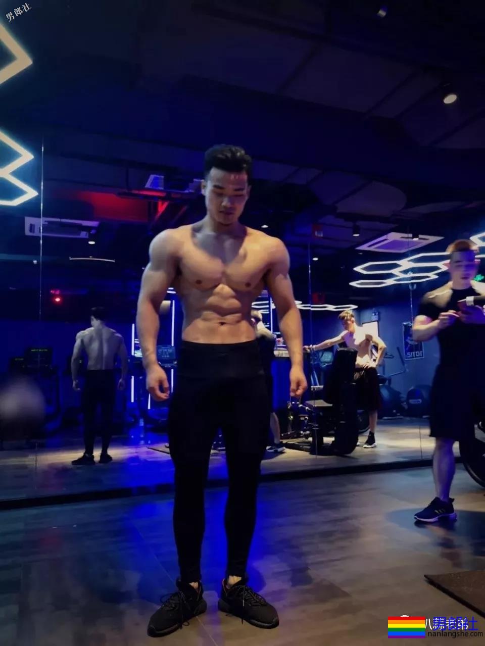 3比例超好的腹毛健身小哥，两款尺寸喜欢谁|？ - 51虹马