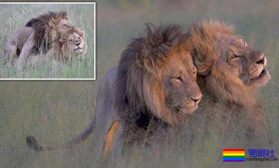 1926年的性史 - 51虹马