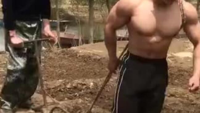 gay，我昨天亲了你 - 51虹马