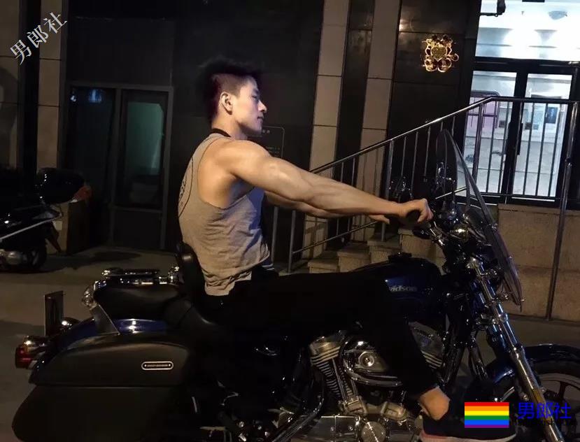 盐系小奶狗的炫腹日常,可以? - 51虹马 盐系小奶狗的炫腹日常,可以? - 51虹马