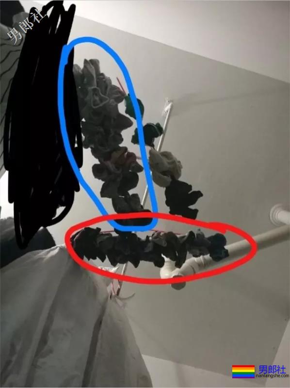 自从上了大学被室友嫌弃，说Gay恶心... - 51虹马