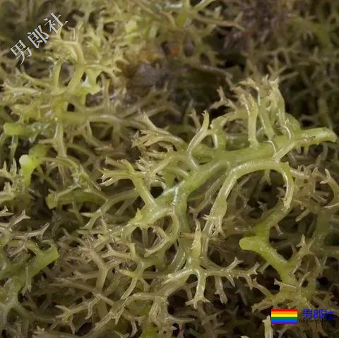 古时候用什么当润滑剂？ - 51虹马