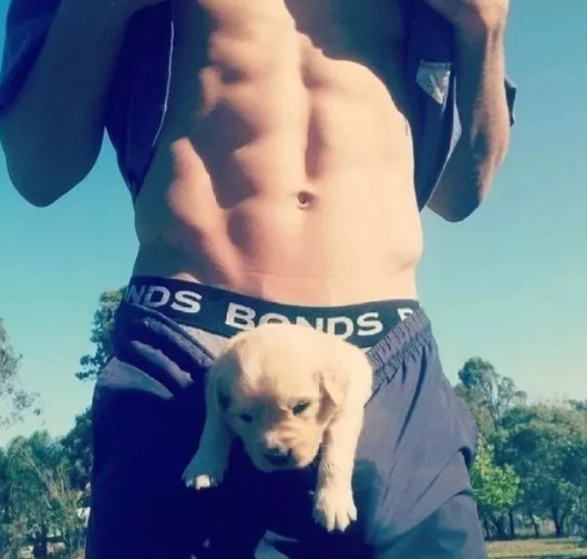 地铁上的小奶狗 - 51虹马