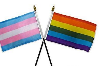 世界卫生组织正式通过把跨性别从疾病列表中删除-51虹马