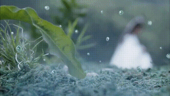 大鼻子一字马男星开拔，腹肌侍卫小哥凭实力抢镜？ - 51虹马