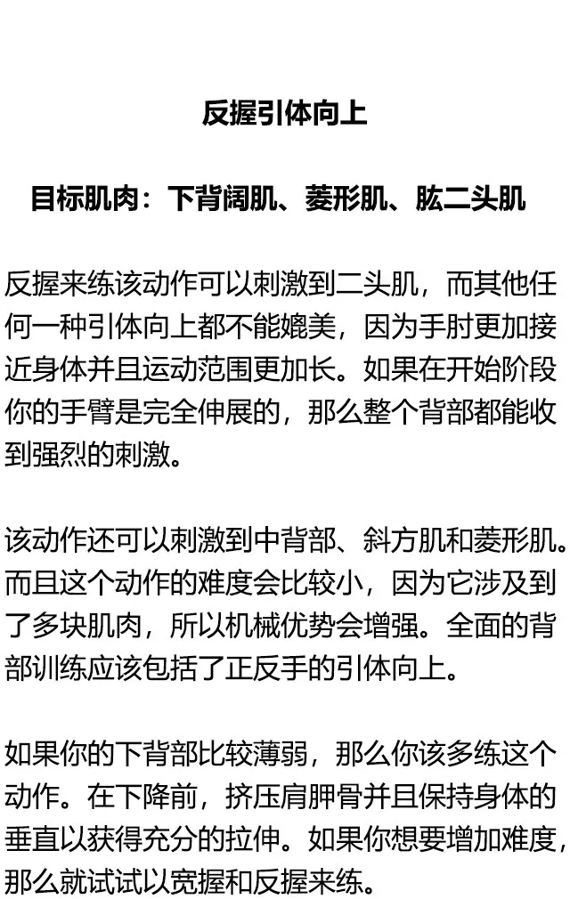 不同的引体向上，都练的是什么部位，你知道吗？ - 51虹马