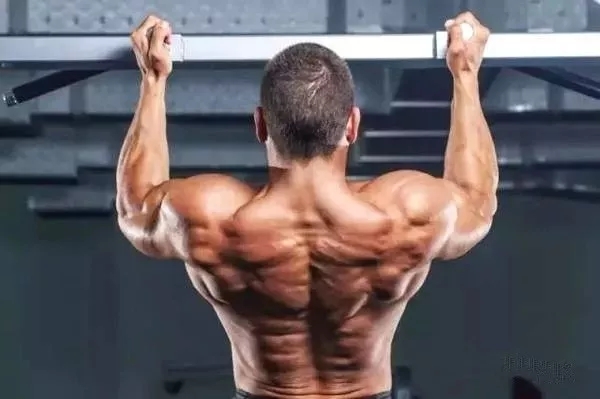 不同的引体向上，都练的是什么部位，你知道吗？ - 51虹马