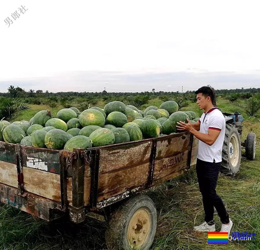 9号老公和67号老公合体，谁能擦擦我的口水！ - 51虹马