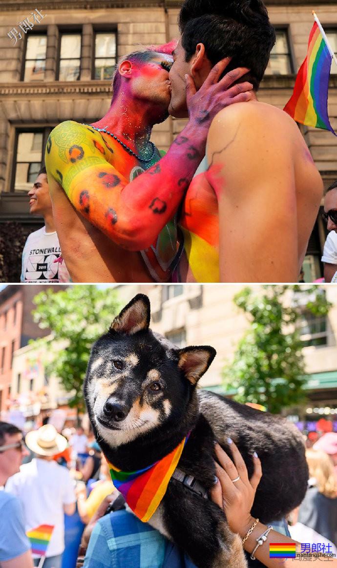 骄傲月的最后一天，纽约、旧金山等城市沸腾了 - 51虹马