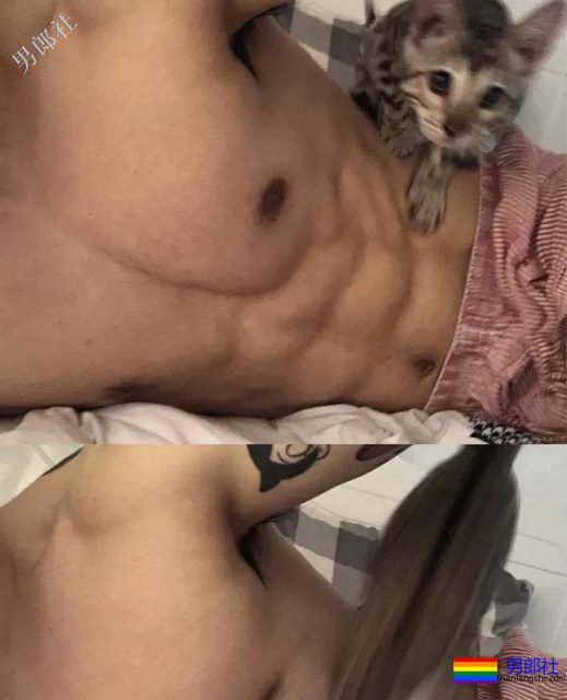 撸猫的肌肉小哥哥，爱死了！ - 51虹马