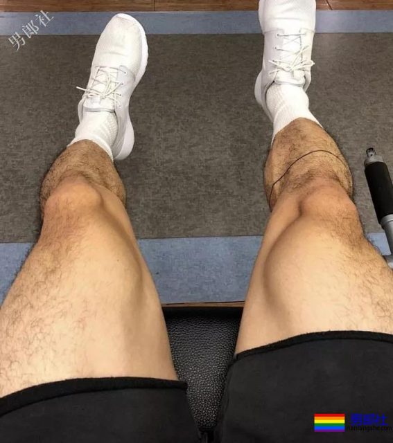 撸猫的肌肉小哥哥，爱死了！ - 51虹马