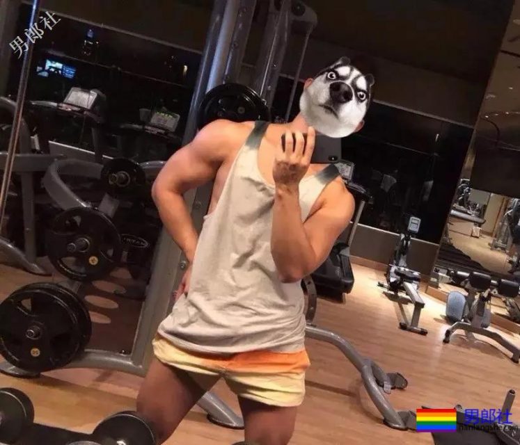 神似郑凯的狼狗小哥哥，凭借胸肌走红gay圈 - 51虹马