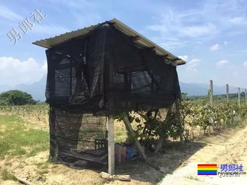 5旬男子疑被29岁男医生性侵？警方介入调查！ - 51虹马