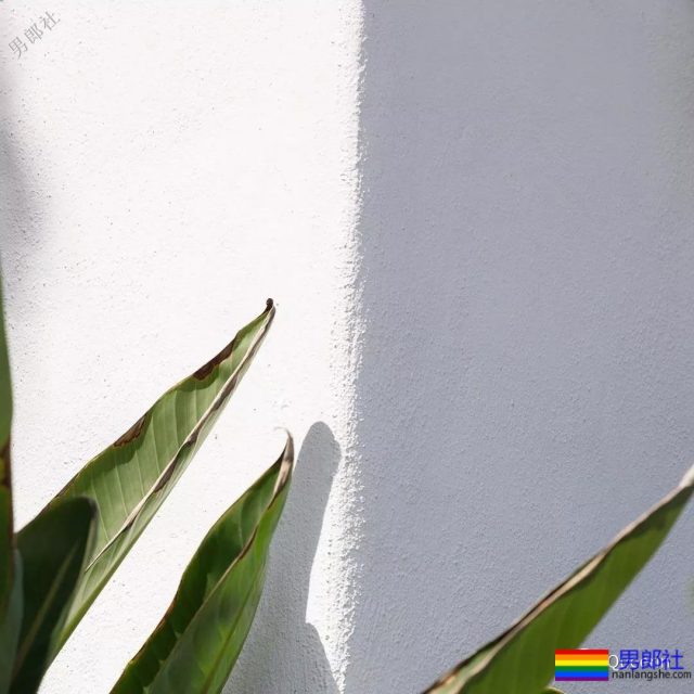 想和这位181建筑师共筑爱巢 - 51虹马 想和这位181建筑师共筑爱巢 - 51虹马