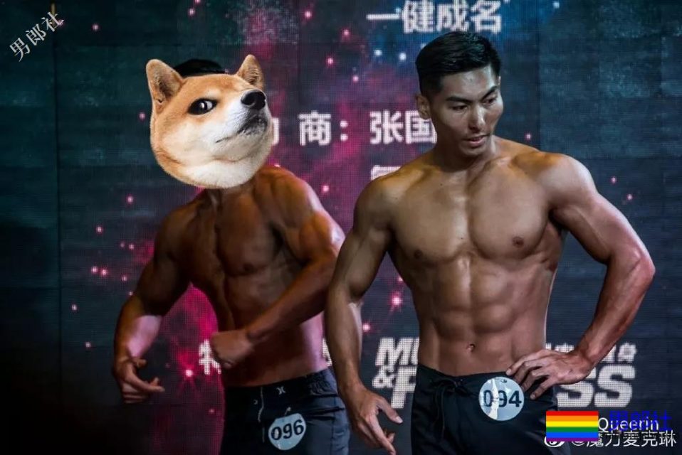 春晚火起来的五个小哥哥最新硬照一览! - 51虹马 春晚火起来的五个小哥哥最新硬照一览! - 51虹马