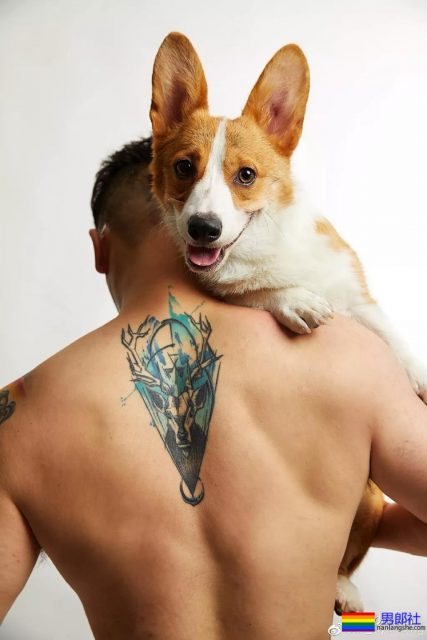 这个小哥有胸肌腹肌还有柯基! - 51虹马 这个小哥有胸肌腹肌还有柯基! - 51虹马