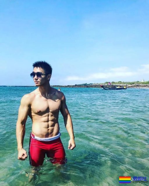 筋肉忠犬颜值成谜,拳击场秒变鸡笼警告 - 51虹马 筋肉忠犬颜值成谜,拳击场秒变鸡笼警告 - 51虹马