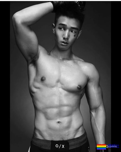 筋肉忠犬颜值成谜,拳击场秒变鸡笼警告 - 51虹马 筋肉忠犬颜值成谜,拳击场秒变鸡笼警告 - 51虹马