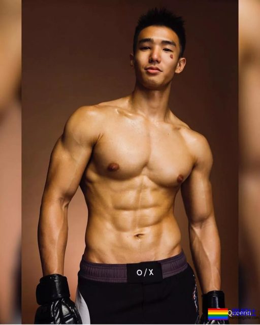 筋肉忠犬颜值成谜,拳击场秒变鸡笼警告 - 51虹马 筋肉忠犬颜值成谜,拳击场秒变鸡笼警告 - 51虹马