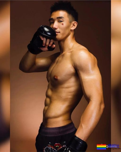 筋肉忠犬颜值成谜,拳击场秒变鸡笼警告 - 51虹马 筋肉忠犬颜值成谜,拳击场秒变鸡笼警告 - 51虹马