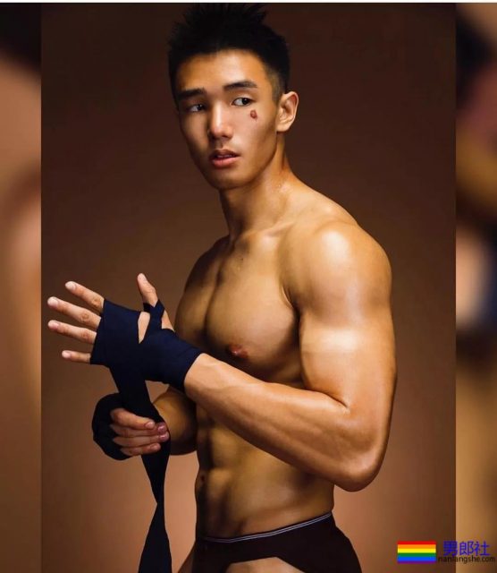 筋肉忠犬颜值成谜,拳击场秒变鸡笼警告 - 51虹马 筋肉忠犬颜值成谜,拳击场秒变鸡笼警告 - 51虹马