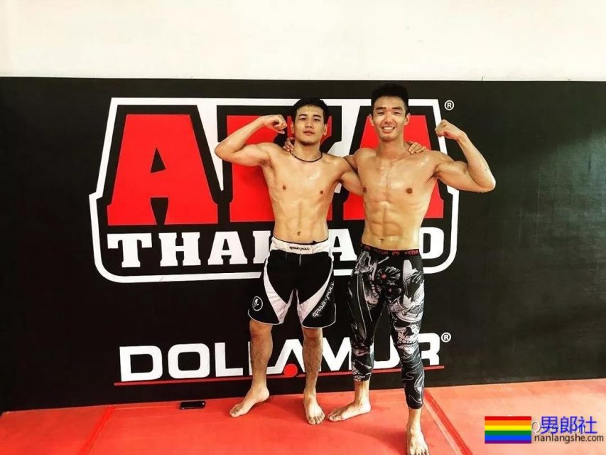 筋肉忠犬颜值成谜,拳击场秒变鸡笼警告 - 51虹马 筋肉忠犬颜值成谜,拳击场秒变鸡笼警告 - 51虹马