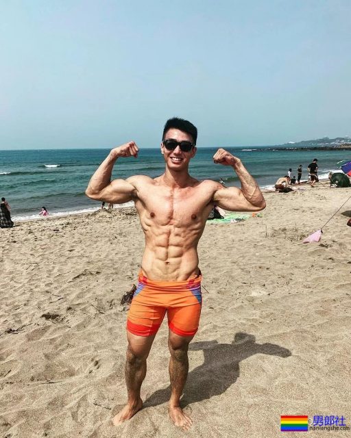 筋肉忠犬颜值成谜,拳击场秒变鸡笼警告 - 51虹马 筋肉忠犬颜值成谜,拳击场秒变鸡笼警告 - 51虹马