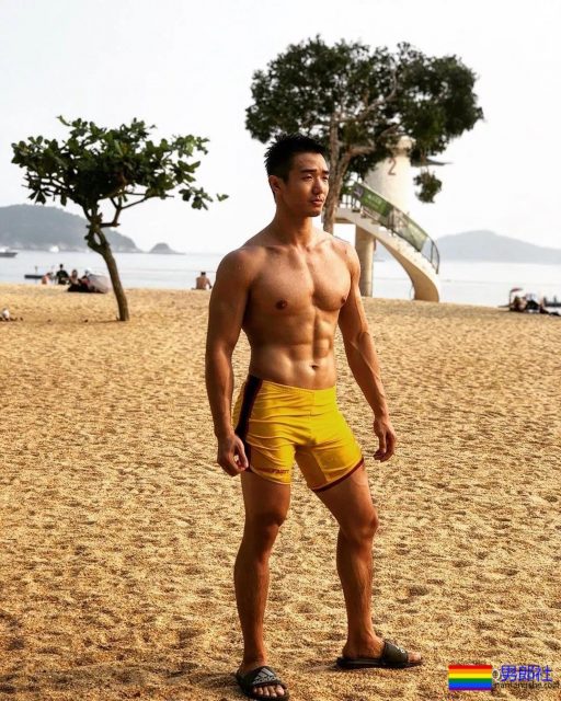 筋肉忠犬颜值成谜,拳击场秒变鸡笼警告 - 51虹马 筋肉忠犬颜值成谜,拳击场秒变鸡笼警告 - 51虹马