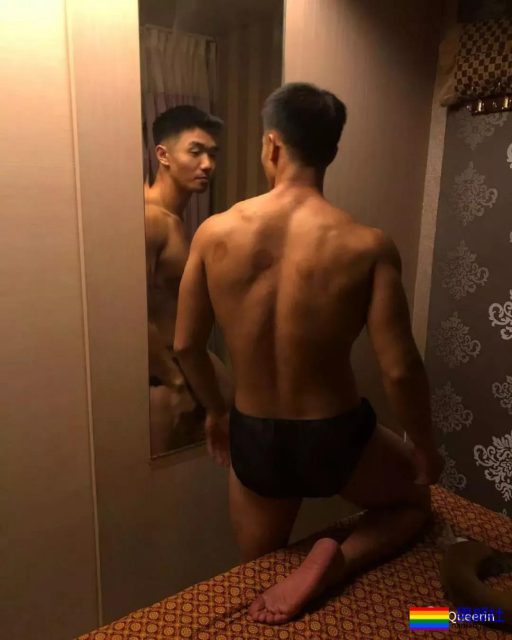 筋肉忠犬颜值成谜,拳击场秒变鸡笼警告 - 51虹马 筋肉忠犬颜值成谜,拳击场秒变鸡笼警告 - 51虹马