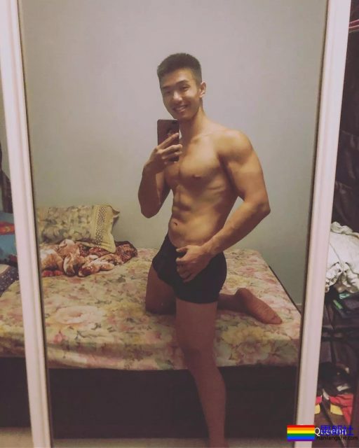 筋肉忠犬颜值成谜,拳击场秒变鸡笼警告 - 51虹马 筋肉忠犬颜值成谜,拳击场秒变鸡笼警告 - 51虹马