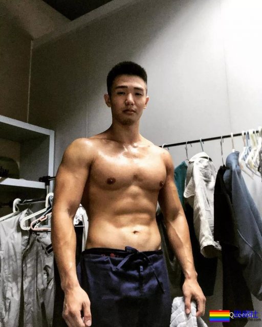 筋肉忠犬颜值成谜,拳击场秒变鸡笼警告 - 51虹马 筋肉忠犬颜值成谜,拳击场秒变鸡笼警告 - 51虹马