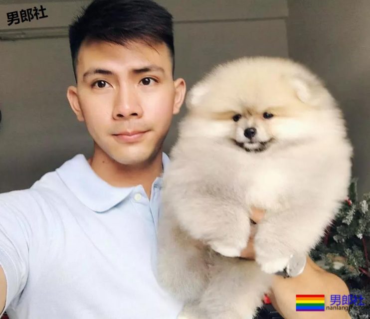 小狼狗性感诱人腹肌，真香！！！ - 51虹马