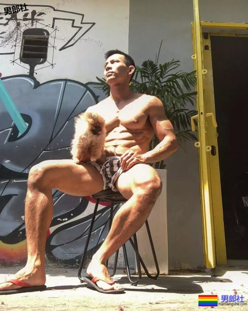 小狼狗性感诱人腹肌，真香！！！ - 51虹马