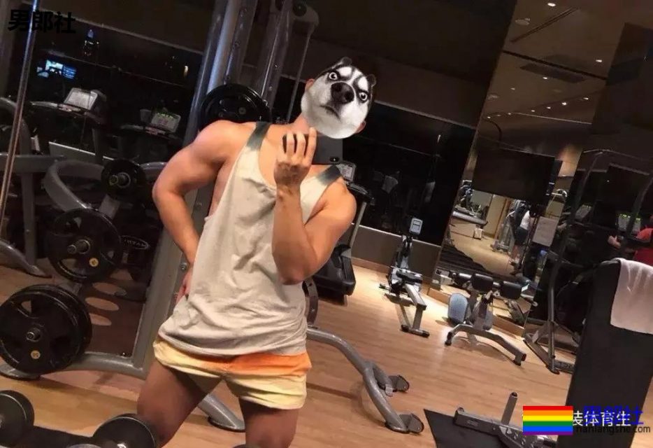 微博上神似郑凯的肌肉男，臀要翘到天上去了！ - 51虹马