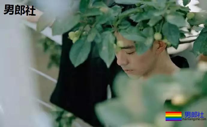 为什么有些gay从来不做0?-51虹马